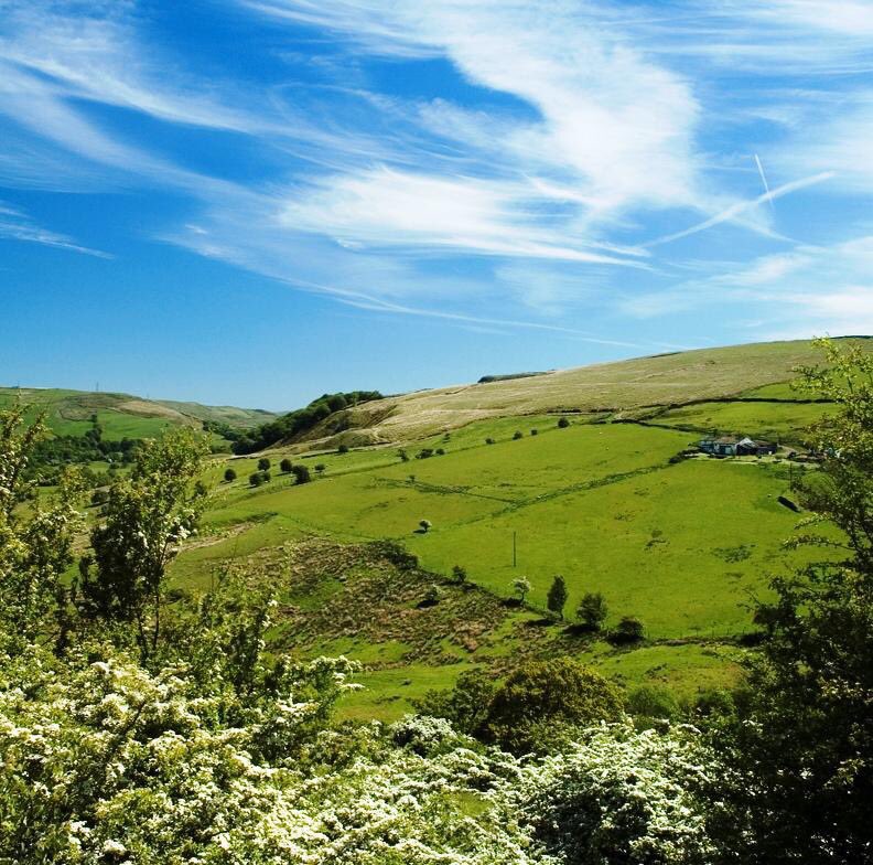 burnley.co.uk tweet media