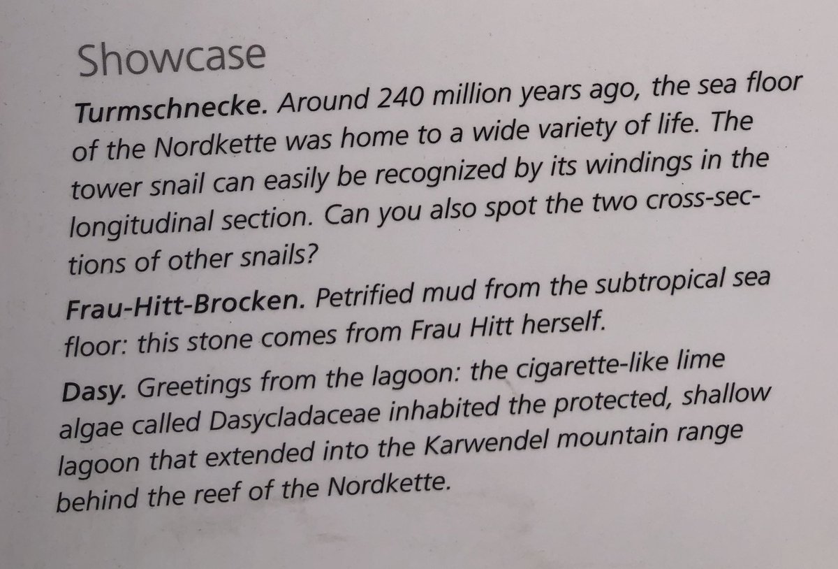 ManningerTanja's tweet photo. #Innsbruck has a nice project, educating everybody at bus stops about the #fossils @NordketteIBK. A great idea! #UrbanGeology #education #turritella https://t.co/wnDFGB88QE
