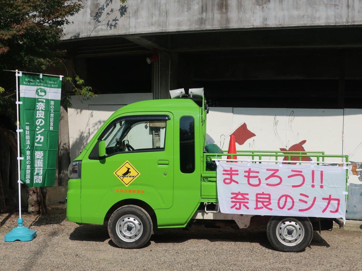 一般財団法人奈良の鹿愛護会 公式アカウント Twitterissa 11月は 奈良のシカ 愛護月間です 鹿 の生態や 正しい接し方についての広報活動を強化しています 鹿の交通事故防止活動として奈良公園道に設置されている鹿の警戒標識 反射鏡の点検 清掃活動を行いました