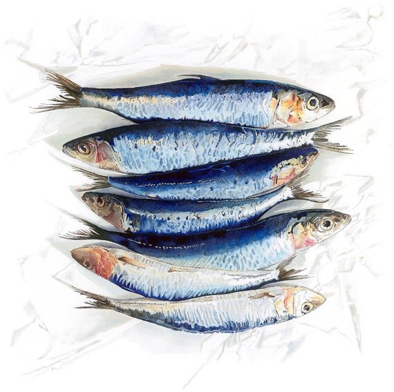 LucyclaytonLucy's tweet photo. Nothing quite like seeing art in the flesh!
Last 2 days of #Draw19 by @SGFADrawing at @MenierGallery near @boroughmarket
#sardines & #strawberries are nestled amongst over 200 wonderful examples of drawing
Fin Sat 2 Nov 5pm🐟
#fish #foodillustration https://t.co/y6aXMdfF9s