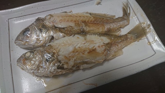 さすがに読める 白愚痴 白い愚痴でなんと読む 読めたらすごい魚漢字クイズ Sotokoto Online ソトコトオンライン 未来をつくるsdgsマガジン