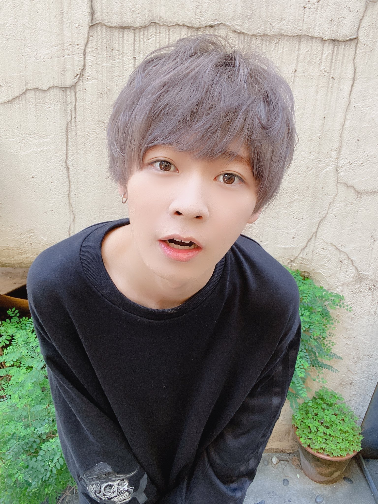 ⭐︎ぶー太郎⭐︎ 天馬流一郎 on X: 