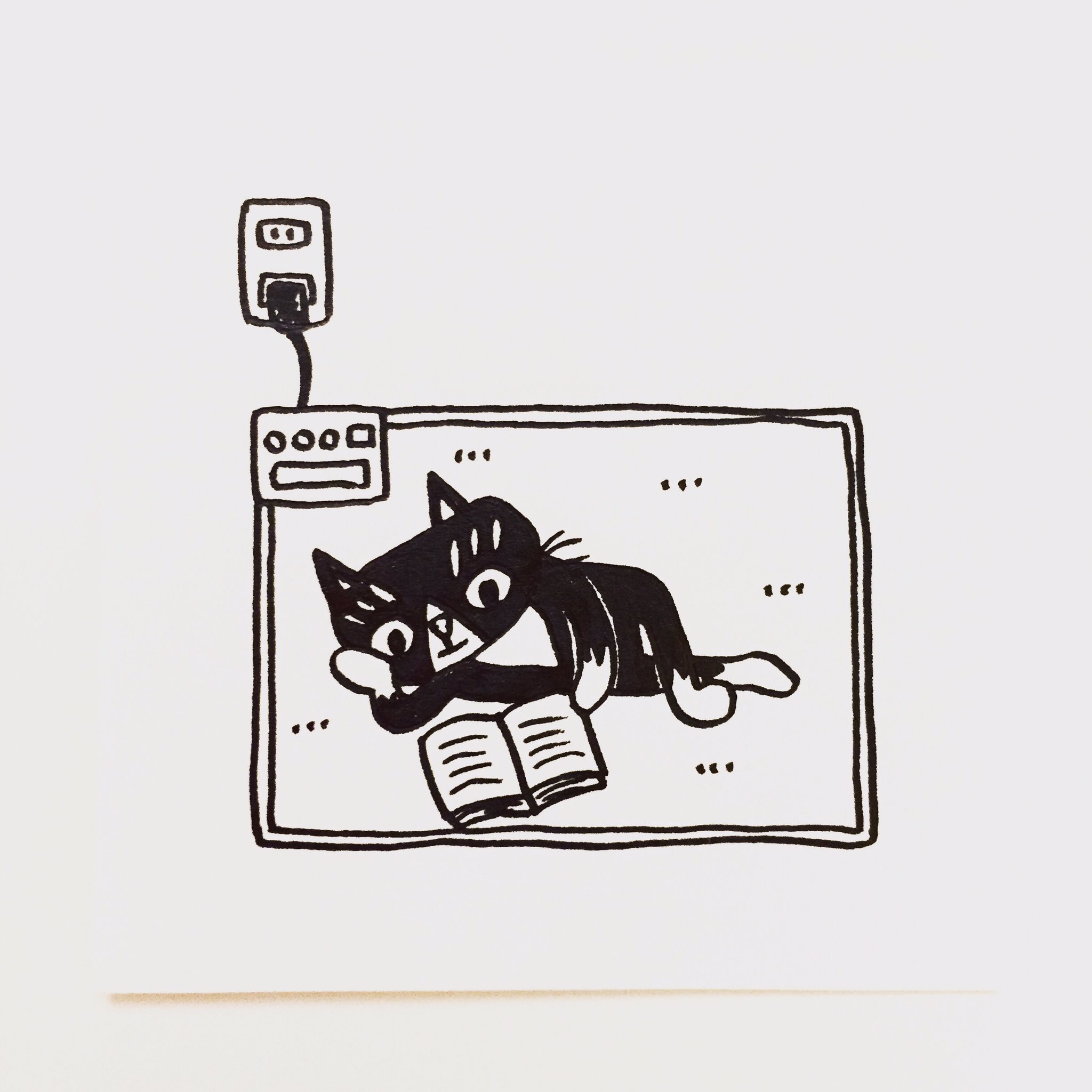 تويتر 肌子 على تويتر 今日のイラストはコレ ｪ ホットカーペットの上でくつろぐ猫 イラスト 猫 ネコ ねこ オリジナル ペン画 アナログ画 ハチワレ猫 白黒猫 T Co 8as7hq0zyr
