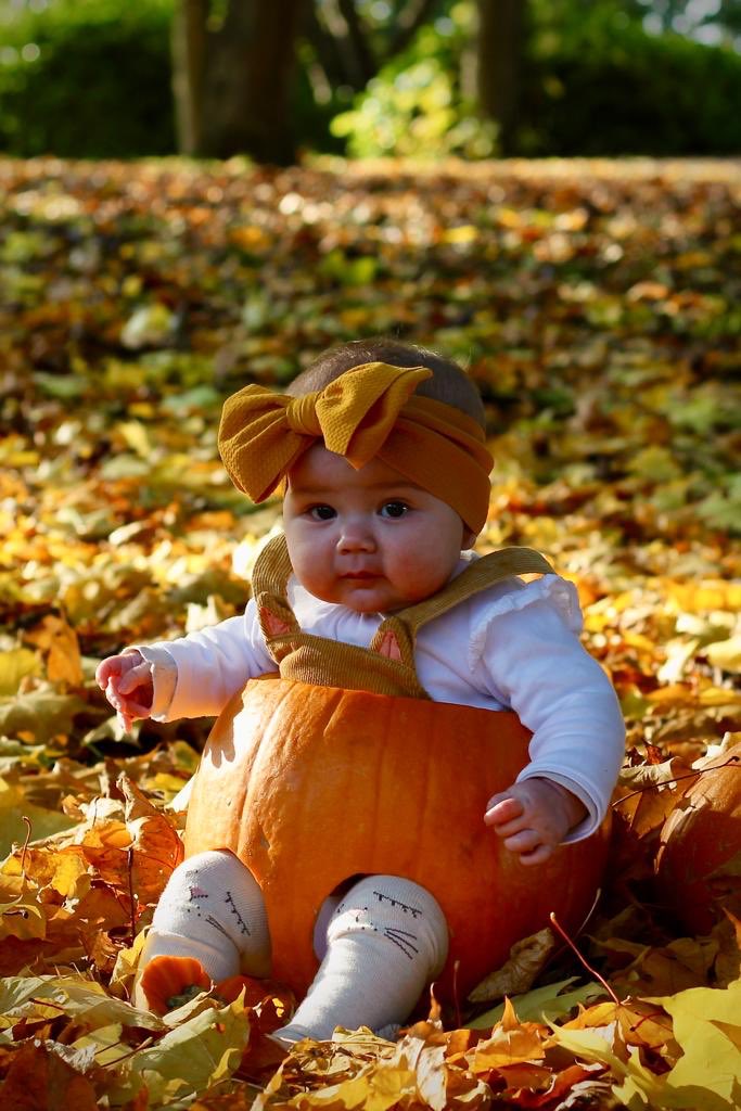 aliharg13's tweet photo. My pumpkin’s better than yours 🎃😍🧡 https://t.co/Ny8dotkTfM