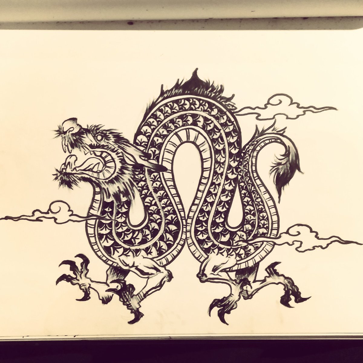 necrophage's tweet photo. Day 12: Dragon

#Dragon #Inktober #Inktober2019 #inktoberday12 https://t.co/hGSlUPXZnO