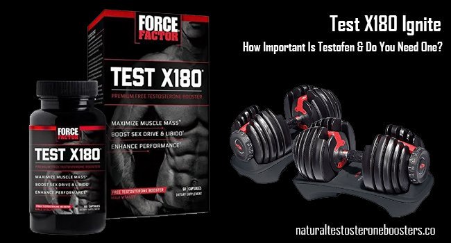 #TestX180 Ignite: How Important Is Testofen & Do You Need One? naturaltestosteroneboosters.co/test-x180/
.
.
.
#TestX180gnite #NaturaltesTosteroneBoosters  #NaturalTestosterone #TestosteroneBoosters #Muscles #TestosteroneBoosters #MentalEnergy #PhysicalEnergy