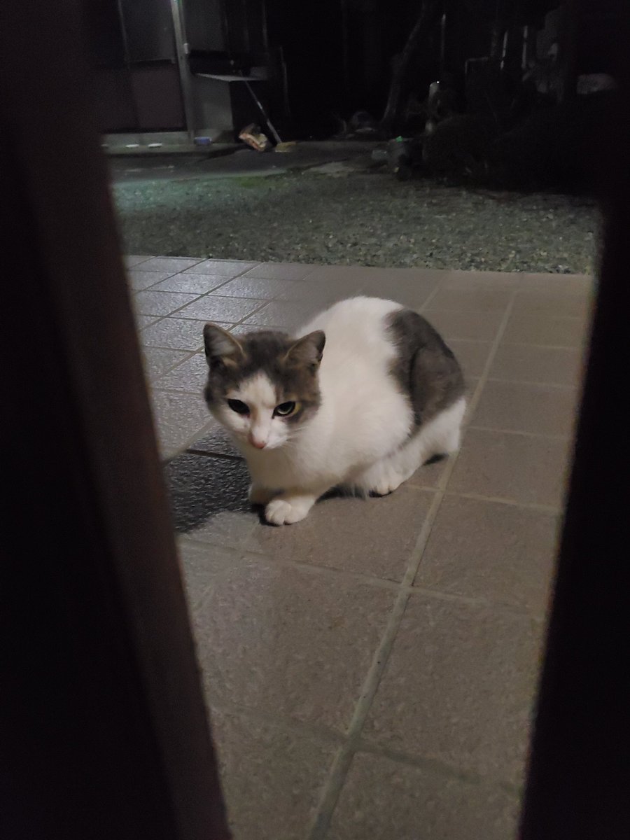 レウ 黒ガスト ん 不在票 W およ