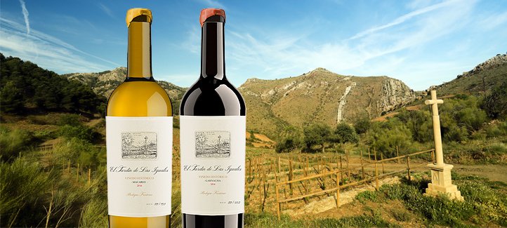 spanish_wl's tweet photo. ¡Atención, #winelovers ! En noviembre sorteamos estas dos botellas únicas de El jardín de las Iguales, el proyecto más exclusivo de @BFrontonio que marca un nuevo techo para los vinos de #Aragón https://t.co/H9zgUj9syT https://t.co/9Ajc4w2uF1