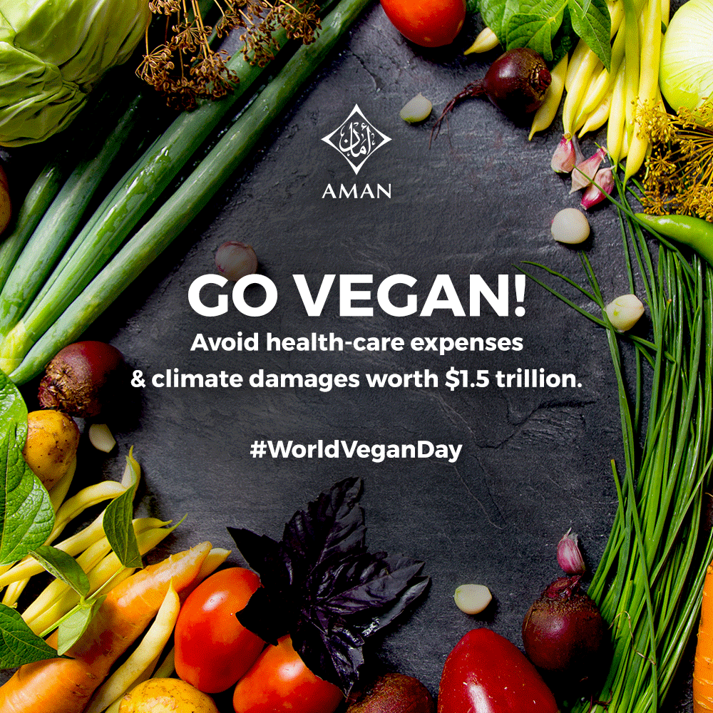 AmanInsurance's tweet photo. A global switch to diets that rely less on meat and more on fruit and vegetables could save up to 8 million lives by 2050 reduce greenhouse gas emissions by two thirds and lead to healthcare related savings and avoided climate damages of $1.5 trillion. “University of Oxford". https://t.co/OyO7y0Jfrc