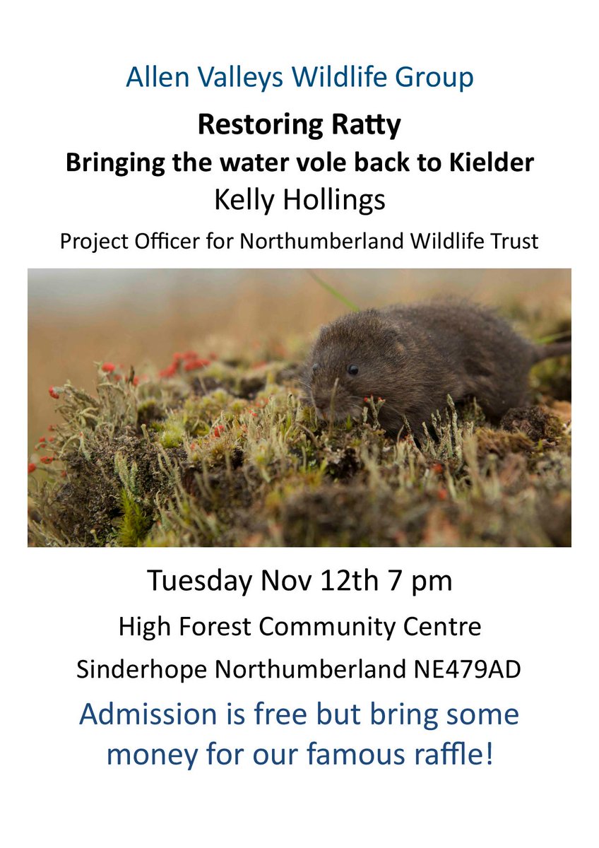 Join <a href="/AllenvalleyWild/">Allenvalley Wildlife</a> on Tues 12 Nov for an evening of water voles, with Kelly Hollings of <a href="/NorthWildlife/">Northumberland Wildlife Trust</a>. <a href="/WeardaleWild/">Weardale Wildlife </a>  @NEE_Naturalist