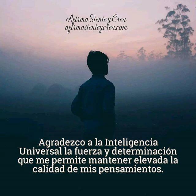AfirmaSientCrea's tweet photo. Agradezco a la Inteligencia Universal la fuerza y determinación que me permite mantener elevada la calidad de mis pensamientos. 🙏🙏🙏💫 Poderosa afirmación ~~~~~~~~~~~~~~~~~~~~~~ #affirmations #afirmaciondeldia #afirmasienteycrea #afirmaciones #mantra #… https://t.co/sxVsNcXvc6 https://t.co/GUlITZYDhG