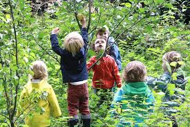 PemburyHouse's tweet image. The Under 3s Team would like to welcome everyone back after their half term break. This week the children have been exploring nature and collecting a variety of natural materials, while going on nature walks around the garden.
#identifyingleaves #naturenurture #exploringtogether