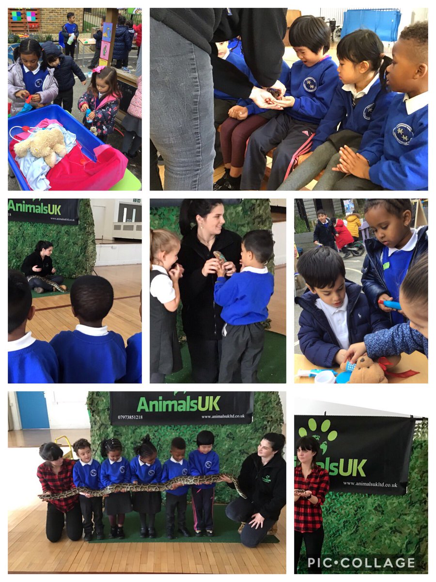 MissStuttle tweet media