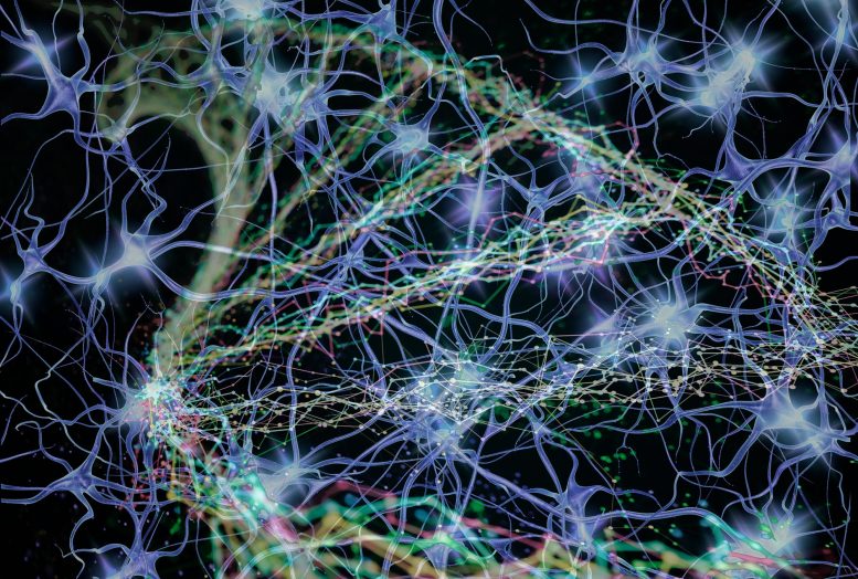 Generis_BIO's tweet image. Advancing #biomanufacturing by uncovering the mechanisms behind #magnetogenetics: bit.ly/2PjbRKT