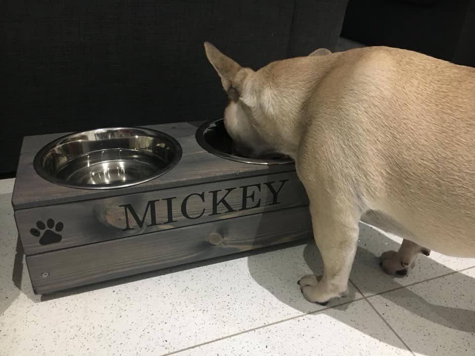 Dogbowls Twitter Search