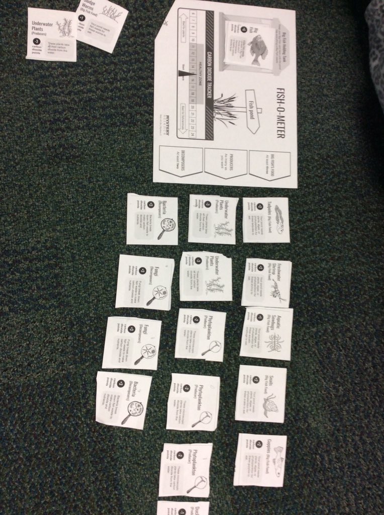 Creating healthy pond ecosystems and ensuring our carbon dioxide levels stay within the healthy zone for our plants &amp; animals! 🐠🐢🌱 #mtsdlearn <a href="/MysterySci/">Mystery Science</a> <a href="/MTSDmtes_jhes/">MTES</a> @MTSD5thgrMrsW