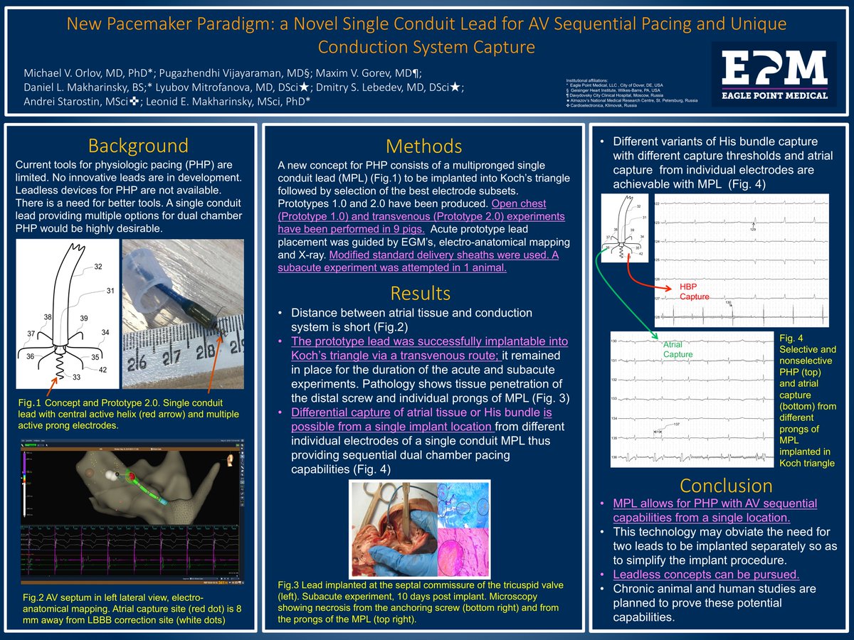 MvorlovOrlov's tweet photo. New exciting concept for pacing! Single conduit, multi pronged electrode allowing sequential pacing of atrium and His bundle from one location. Thankyou Dr Vijayaraman for participating in animal experiments.  @hisdoc1 #pps2019 #dontdisthehis  https://t.co/PTZXUomQaR https://t.co/0ujyLIRAZk