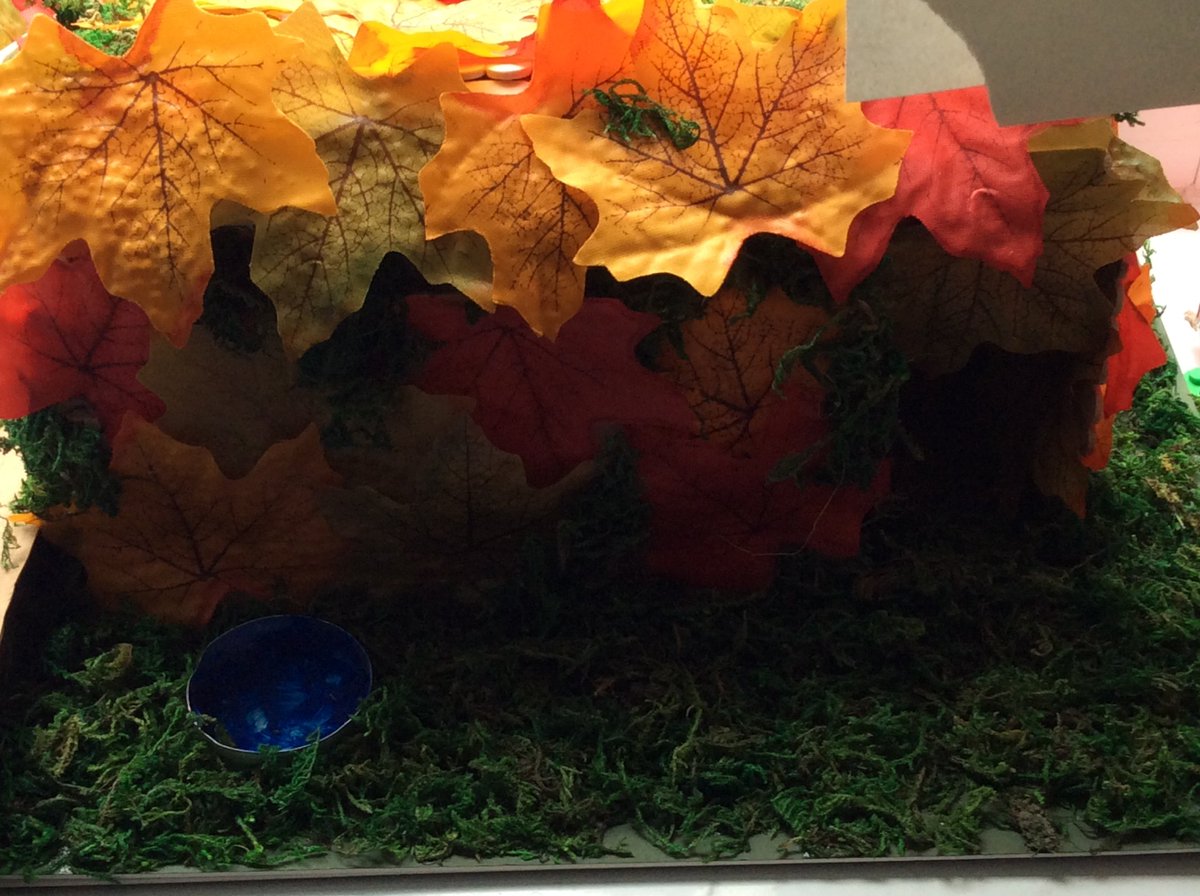 Please take a look at Y3s Fantastic project work on "Extreme Survival."