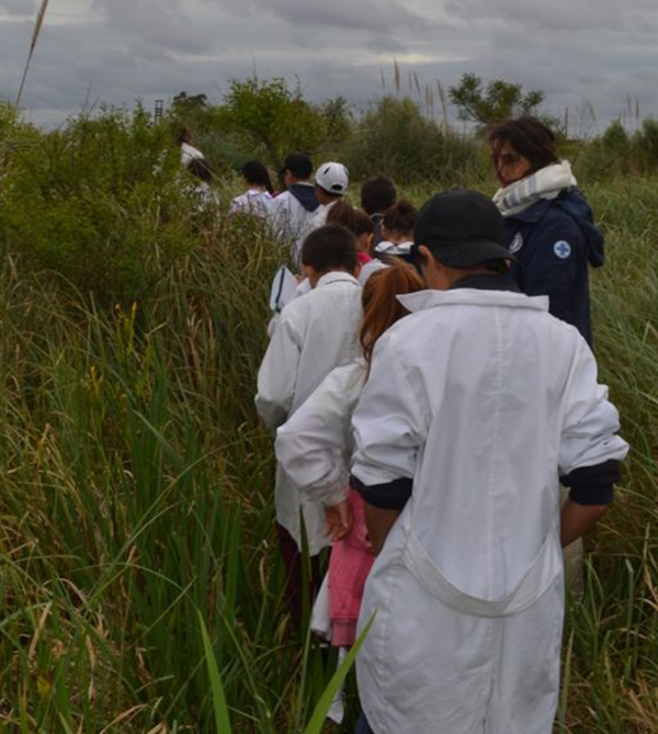 TierraHumedales's tweet photo. 🤗El miércoles 30 de Octubre recibimos en Tierra de Humedales un nuevo centro educativo de Ciudad del Plata que participa del proyecto Jugando Aprendemos en Tierra de Humedales.😃

👉Mas info: https://t.co/Og7A7DbNQb

#jugandoaprendemos #tierrahumedales #efice https://t.co/ranCceLFcC
