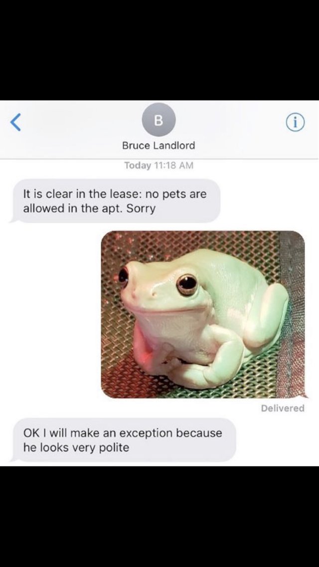 JustLandlords's tweet photo. Found in r/GoodFakeTexts on Reddit - it made us laugh, so we had to share!
Landlords, have you ever had your heart melted by a tenant's cute pet?
#reddit #landlords #letswithpets https://t.co/beJ34Tkt9Z