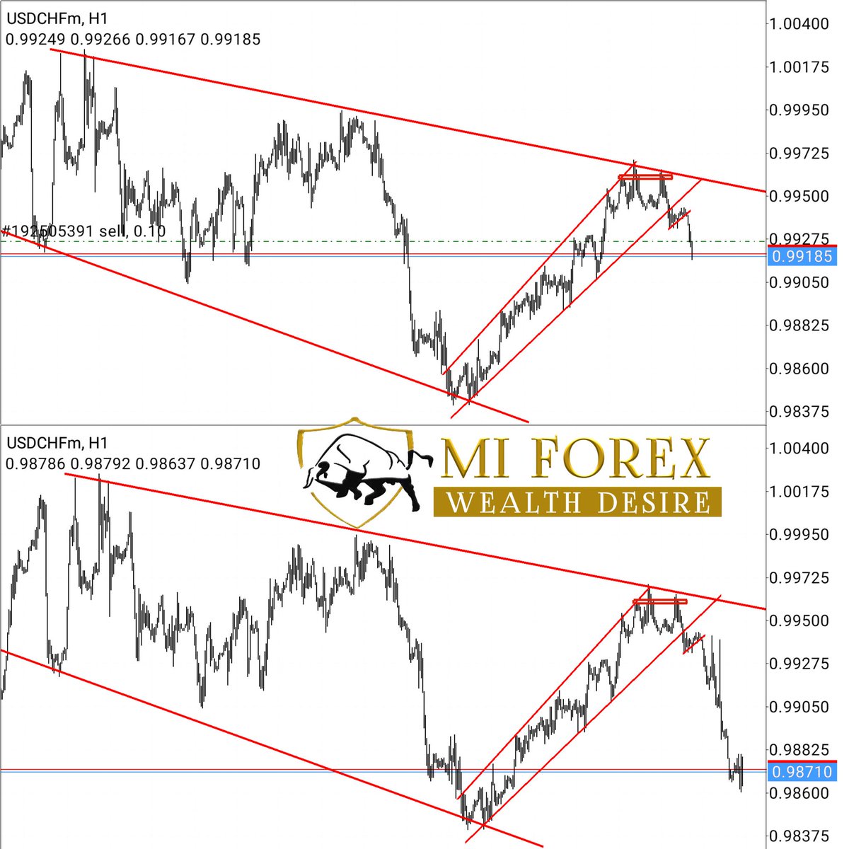 Lehloho13807511's tweet photo. MI FOREX VIP RESULTS
π₯ππR500 To Join VIP Till The Year Ends #MIFOREX #forex #Forextrading #signals https://t.co/52666AS7r5