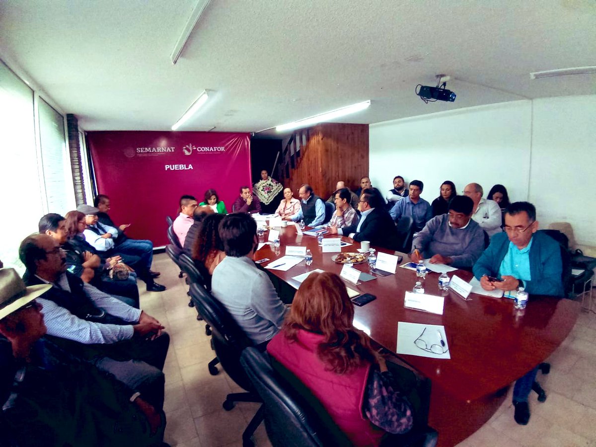 CONAFOR Puebla tweet media