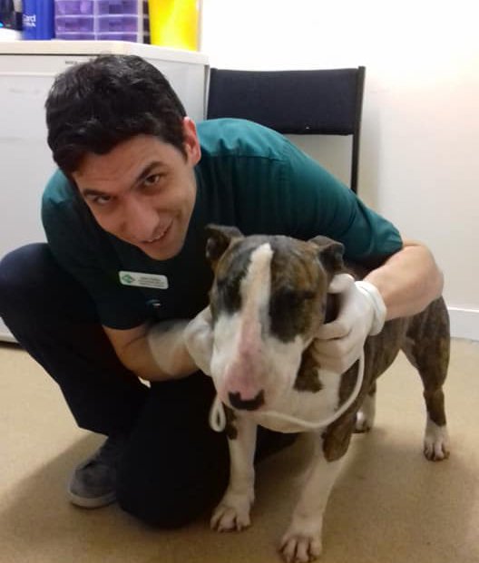 A Celebrity Visitor, Halloween Pets And Other News Across Our Group londonvets.wordpress.com/2019/11/01/a-c…