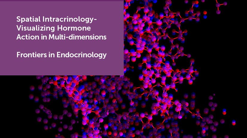 FrontEndocrinol's tweet photo. Open call for participation to the article collection on #SpatialIntracrinology hosted by @LisaButler5 and @RuthAndrewMSEd. More info: https://t.co/d0QPd4yWth @sahmriAU @EdinUniCVS
@EdMassSpecCore #FENDO #Transcriptomics #Histology #MALDI #SpatialTranscriptomics #MSImaging https://t.co/Q94zKKobVj