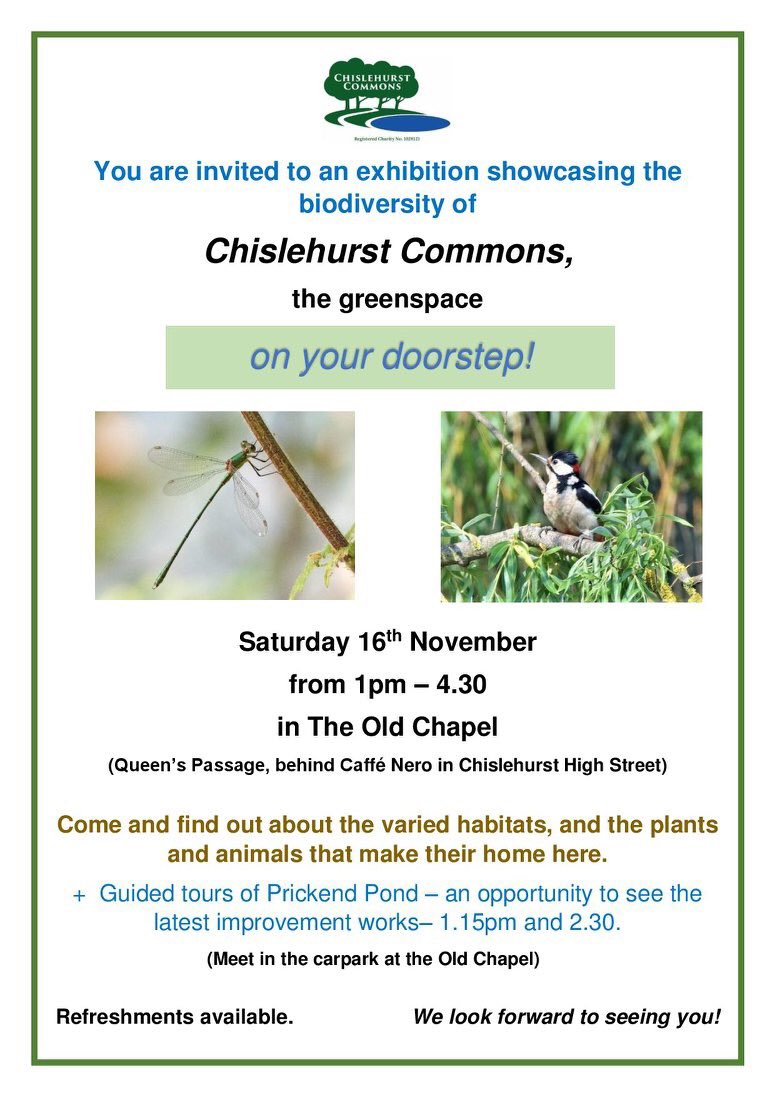 Chislehurst Commons (@chiscommons) on Twitter photo 