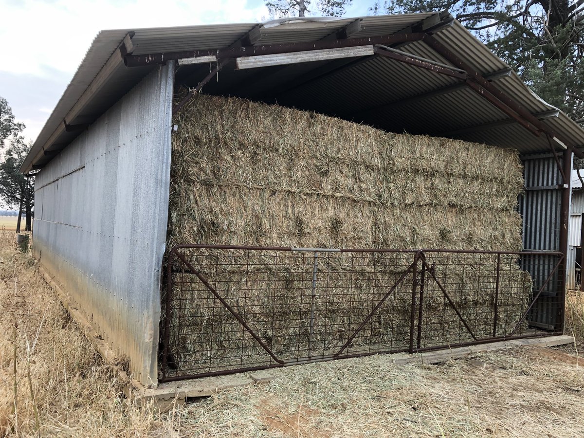 Pontaragrain's tweet photo. Chamberlain lifting beyond its weight limits.
Filling sheds however small, another 66 under cover and on concrete.
#C670 https://t.co/v3thhK378P
