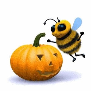 La falta de abejas amenaza #Halloween En España (principal productora europea) la producción de calabazas ha caído un 50% debido a la falta de polinizadores. Es más, la presencia de #abejas ha caído un 37% en nuestro país, sobre todo por el uso de pesticidas. Eso sí que da miedo!