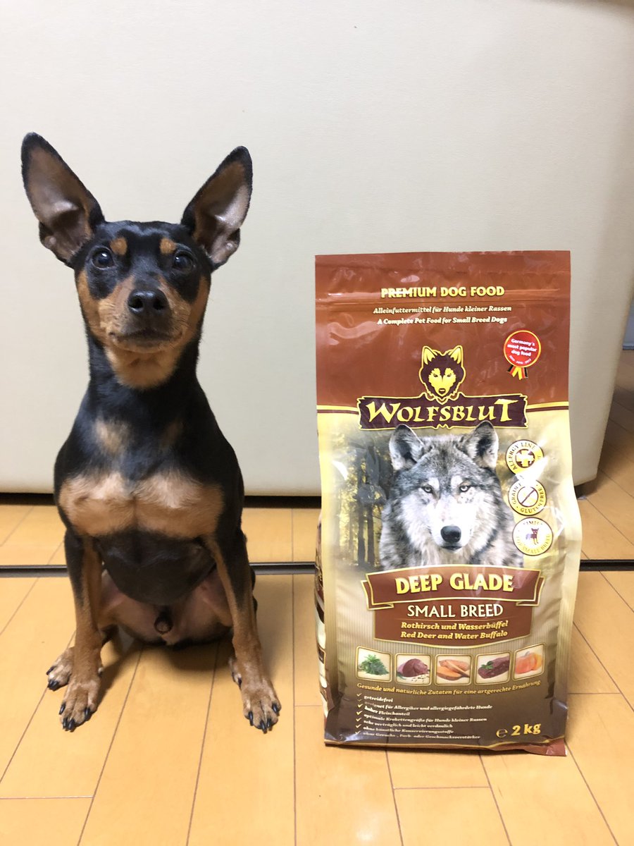 bluehornet1018's tweet photo. AATUがきれたので、次はこれまたKennelAstreaさんから購入したWOLFSBLUTを夕飯から投入🍚
AATUよりカロリー高めなので量を少し減らしてあげてみま〜す😋
#ミニチュアピンシャー #ミニピン #WOLFSBLUT #ウルフブラット https://t.co/KgYppZAXqC