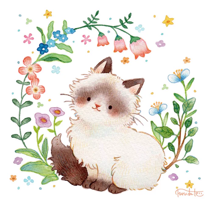 おすましネコちゃん 