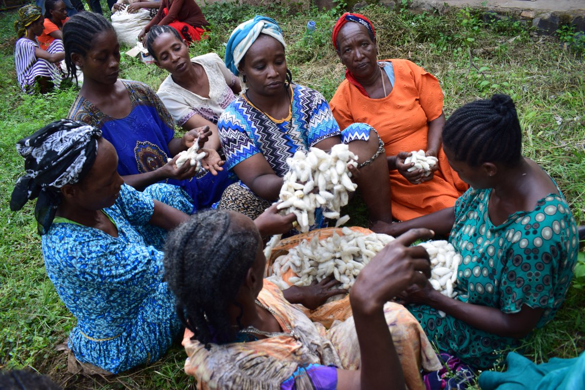 ICIPE LAUNCHES INITIATIVE TO BENEFIT 100,000 YOUTH IN ETHIOPIA
bit.ly/2N6TK9F