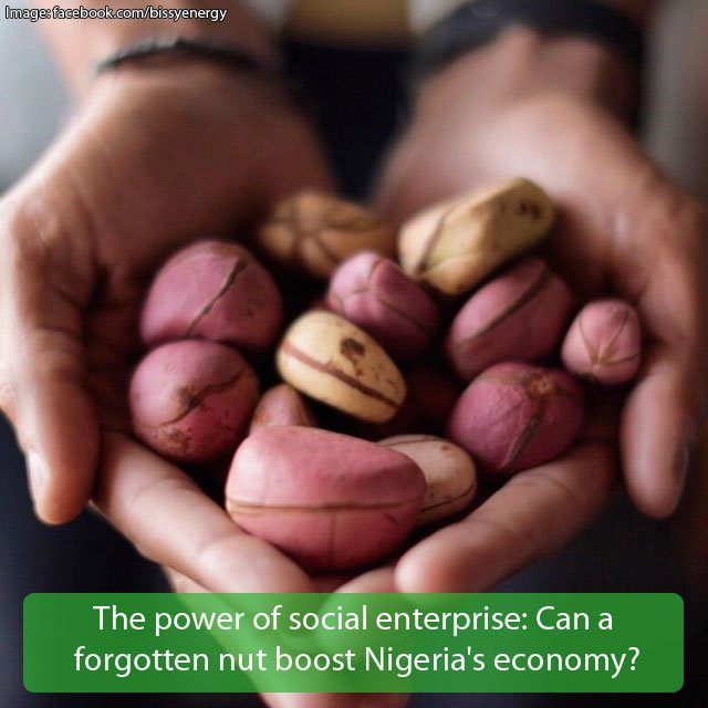 thisisgoodwork's tweet image. The power of #socialenterprise: Can a forgotten nut boost #Nigeria’s economy? How @bissyenergy aim to provide the first sustainable supply chain for the Nigerian #Kolanut. bit.ly/2JBHpb8