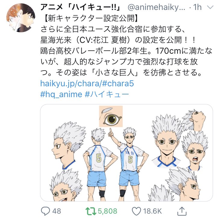 Thankyouhaikyuu Source