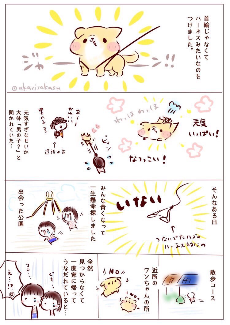 #犬の日 ということで、昔飼ってた犬のお話です。
続きはこちら→note(ノート)
#ましまろうじゃない