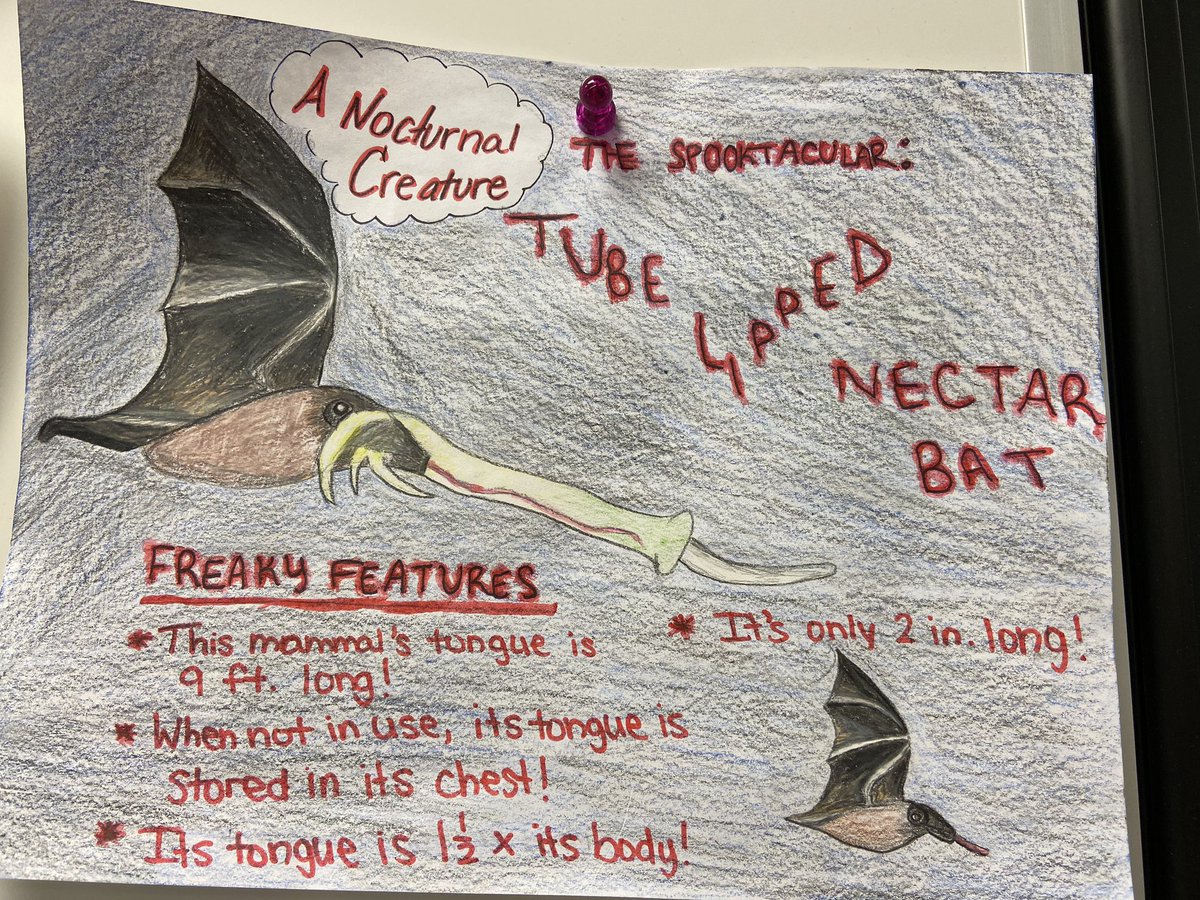 Amy Sweeney tweet media