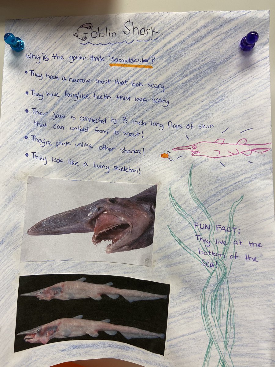 Amy Sweeney tweet media