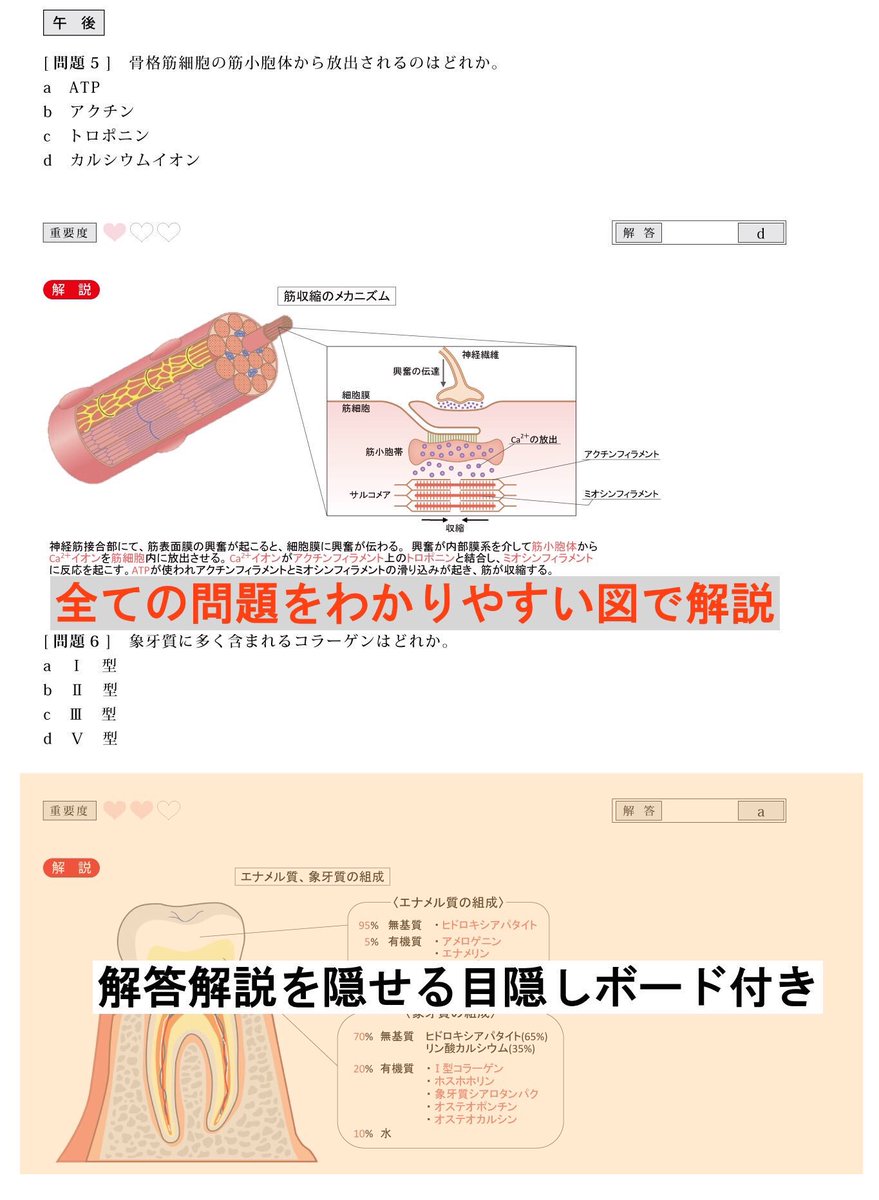 歯科のための一問一答 tweet media