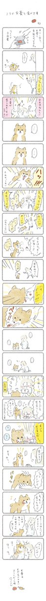 #犬の日 らしいのでマンガ(再掲) 