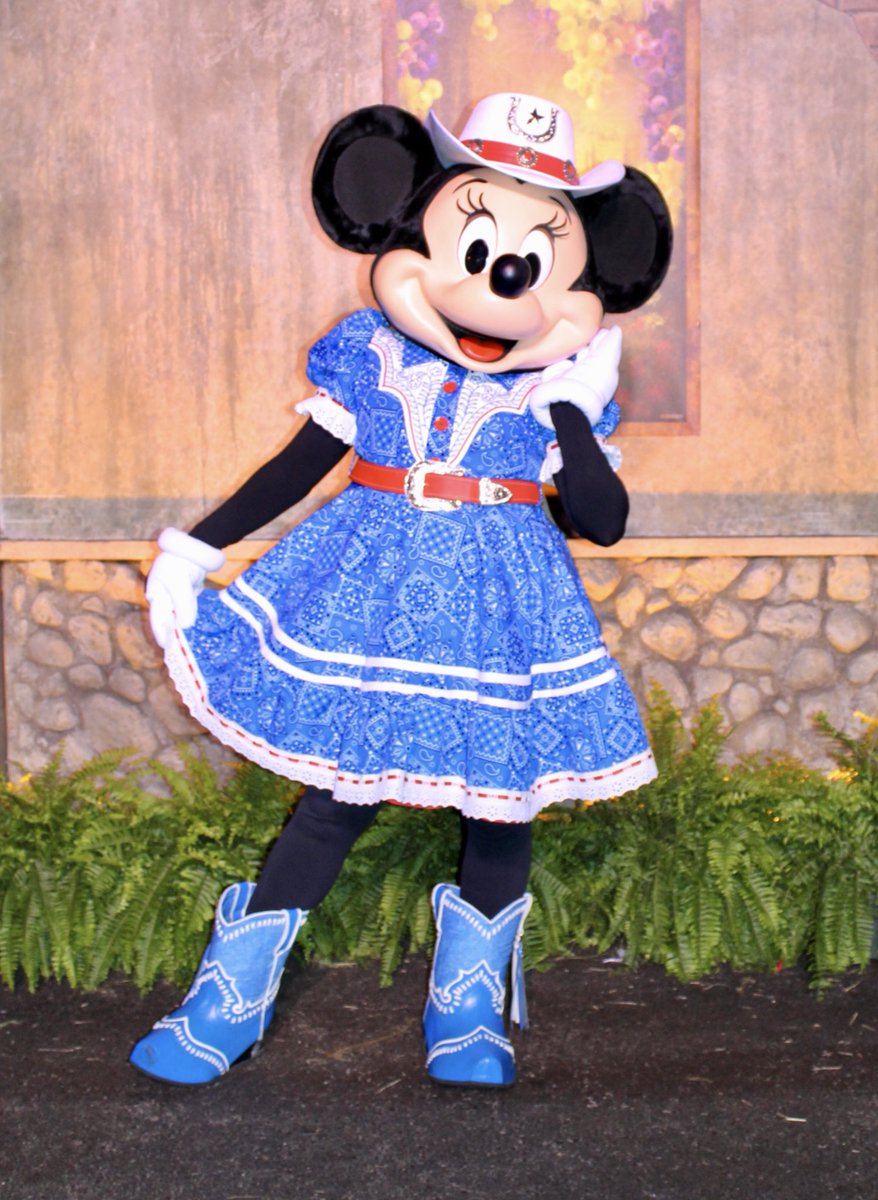 wdwmickeyhunter's tweet photo. How cute is Minnie!! Minnie Mouse greeted runners at today’s @runDisney Fall Feast 5K! #runDisney #FallFeast5K #Epcot #WaltDisneyWorld #Running #MinnieMouse https://t.co/ukv6i5mFg4
