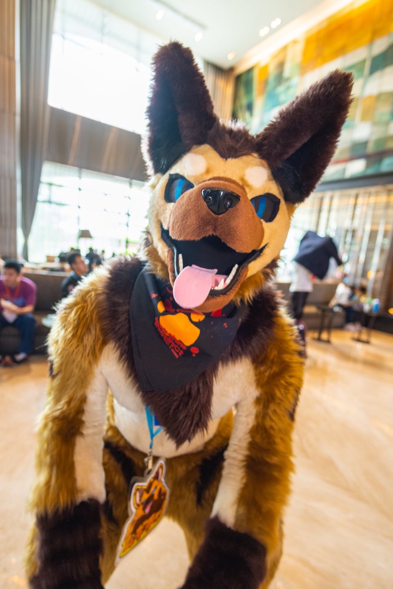 🍖お！肉！は！ど！こ！か！🍖

📸<a href="/racoonwolf/">Rac'n 🐾 UTFG</a> 
#FursuitFriday