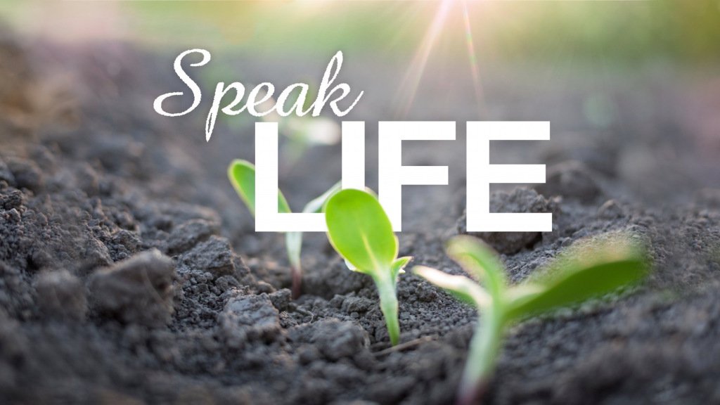 DrNHSNicolas's tweet image. Speak Life (Proverbs 18:21)
The Word says that death and LIFE are in the power of the tongue (Proverbs 18:21), and what we say matters; the things that we speak over our lives affects our attitudes and our energy, and has the… drnstewartblog.wordpress.com/2019/11/01/spe…