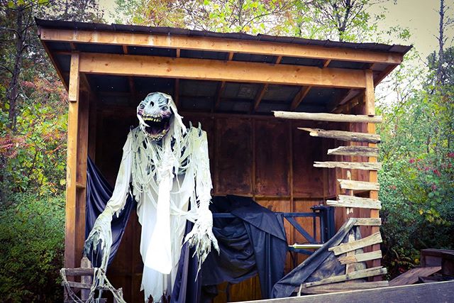EAdamsPolicy's tweet photo. Did you visit @saundersfarmfun during #FrightFest? Did you dare to go at night? Which one was your fav set in the very scary Hayride? #myottawa #saundersfarm #halloween #hauntedhayride #scary #narcityottawa #facesottawa…
📸 https://t.co/XHHSrd177b via https://t.co/wMQDFlFufQ https://t.co/4YHQJdTDQK