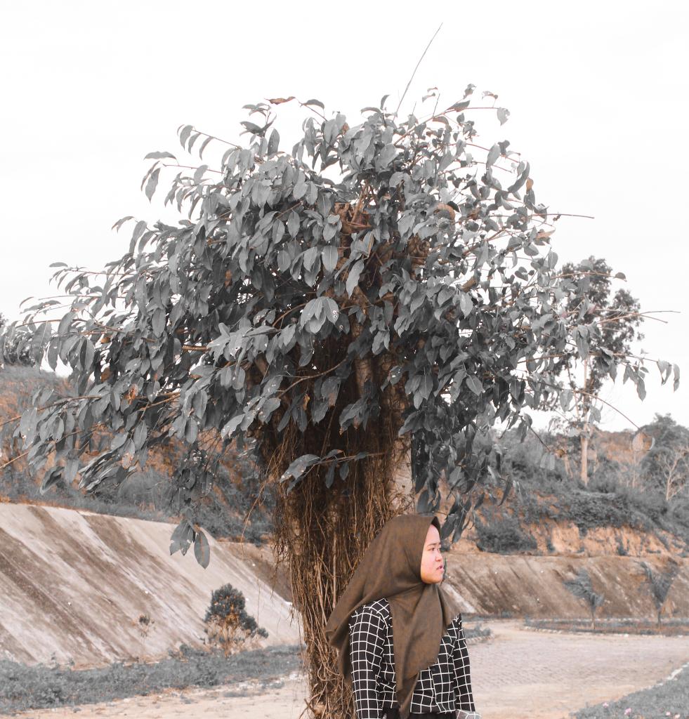 Nugrh8's tweet photo. #lightroompresets https://t.co/54yiEjdjQj