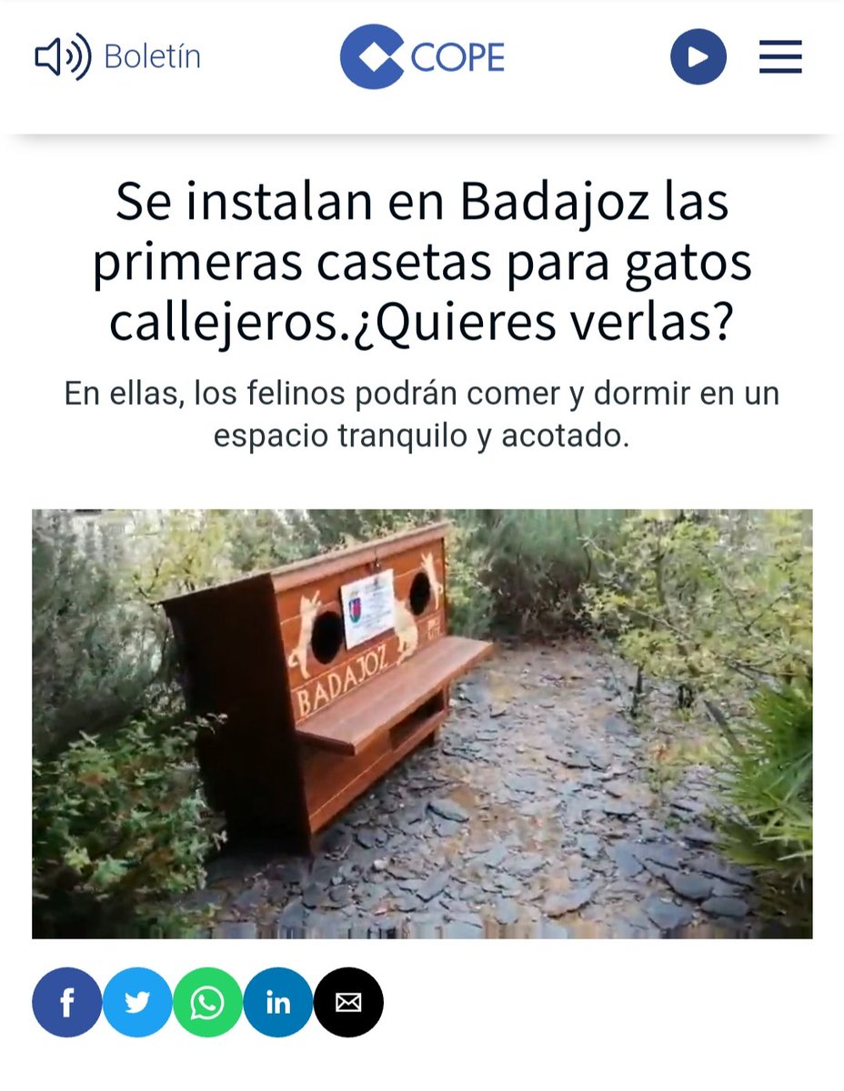 MManu's tweet photo. Cuando se hacen las cosas bien también hay que decirlo https://t.co/clB99uPs6g