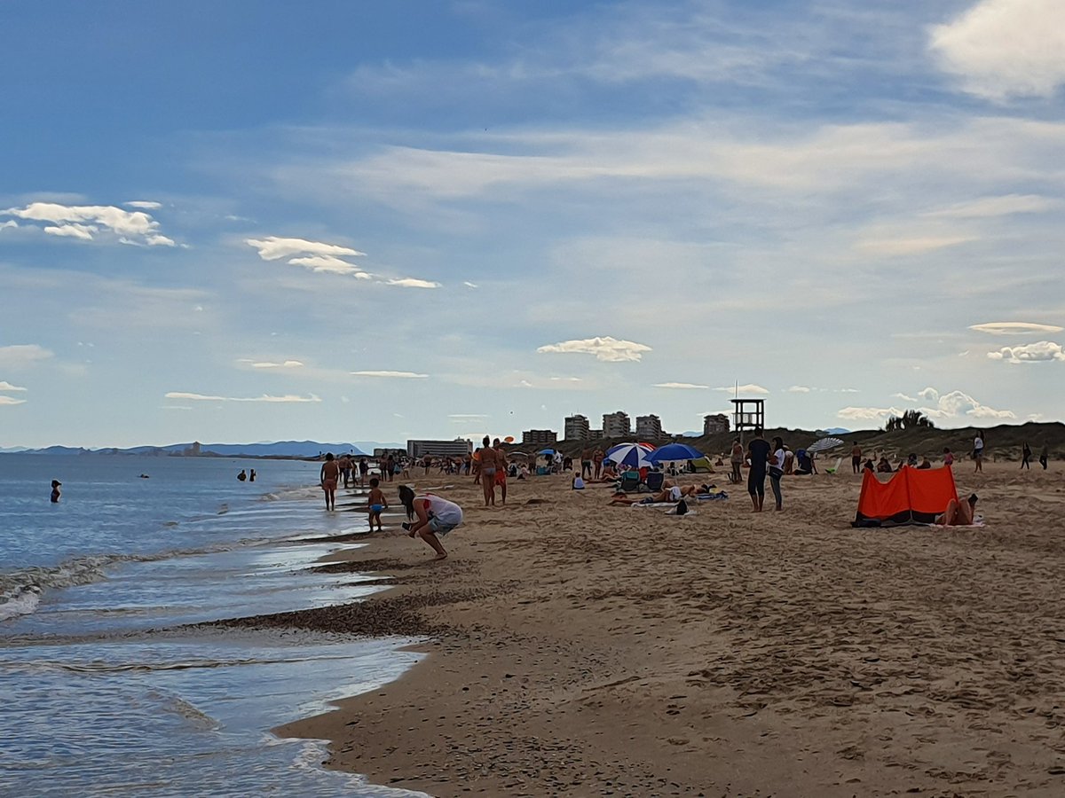 XtinaMoreno's tweet photo. Sé que esto va de emergencia climática y es grave, pero...
Después de una dura semana, a mi, esta caminata hoy a casi 30grados, me ha dado la vida. #PlayasDeValencia #Pinedo https://t.co/qbTDJ0hgvW