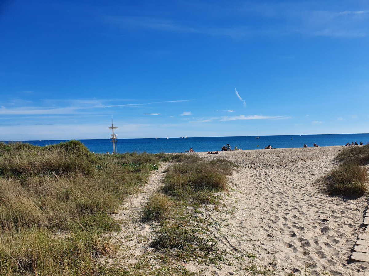 XtinaMoreno's tweet photo. Sé que esto va de emergencia climática y es grave, pero...
Después de una dura semana, a mi, esta caminata hoy a casi 30grados, me ha dado la vida. #PlayasDeValencia #Pinedo https://t.co/qbTDJ0hgvW