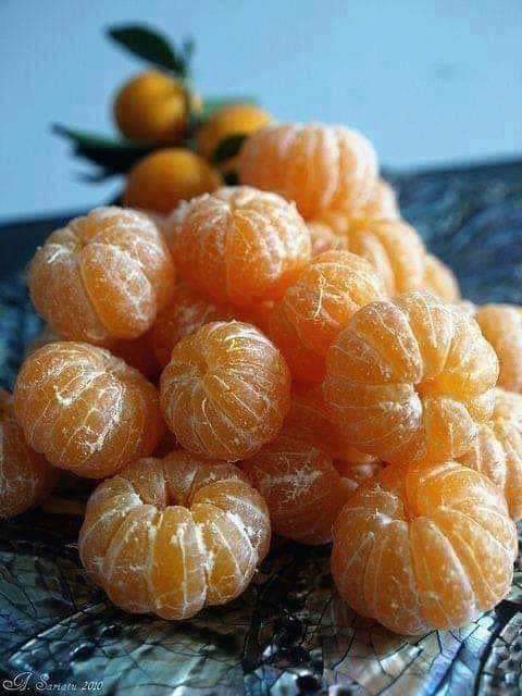 ���� ���� ������ �� ���� ������